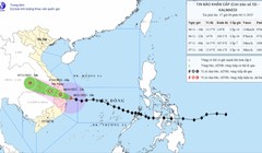 Tàu thuyền vào âu thuyền Thọ Quang, Đà Nẵng để tránh bão.
