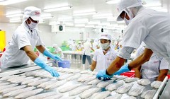 Sẽ bãi bỏ ngay thuế nhập khẩu đối với hơn 59% mặt hàng từ EAEU khi hiệp định thương mại tự do có hiệu lực.