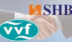 VVF đã chính thức sát nhập vào SHB - (Ảnh minh họa)