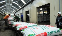 Dự án nhà máy Đạm Ninh Bình thuộc Công ty TNHH MTV Đạm Ninh Bình đang gây xôn xao dư luận sau khi công khai những con số lỗ triền miên và to như đá tảng.