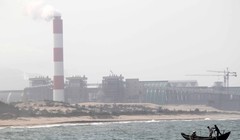 Sự cố môi trường biển gây cá chết ở 4 tỉnh miền Trung - (Ảnh minh họa)