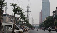 Hà Nội trồng bàng Đài Loan dưới lưới điện 110KV.