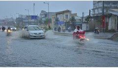 TP. HCM tự chọn nhà thầu trong Dự án giải quyết ngập do triều.