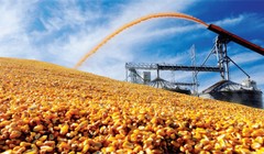 Tạm ngừng nhập khẩu bột bã ngô từ Hoa Kỳ- (Ảnh minh họa).