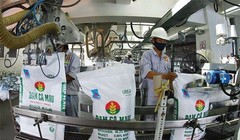 Đạm Cà Mau đang là thương hiệu số 1 ĐBSCL