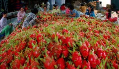 Ảnh minh họa. Nguồn Internet