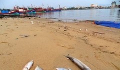 Tổng số tiền bồi thường thiệt hại môi trường tại huyện Lộc Hà, Hà Tĩnh là 207 tỷ đồng.