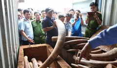 Ảnh minh họa. Nguồn Internet