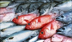 Chính phủ hỗ trợ giải quyết ngay lượng hàng hải sản tồn kho- (Ảnh minh họa).