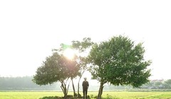 Bức ảnh chụp ngược sáng trên cánh đồng cỏ trải dài là tác phẩm được nhiều người yêu thích trong album chụp bằng Xperia XZ của Đinh Hằng.