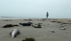 Ảnh minh họa. Nguồn Internet