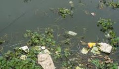 Ảnh minh họa. Nguồn Internet