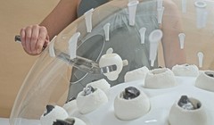 Nhựa được cho vào lớp vỏ làm bằng thạch dẻo. 