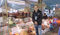 Anh Hồ Thanh Dũng bên dàn gà chín cựa trong truyền thiết.