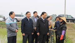 Bí thư Tỉnh ủy Thanh Hóa Trịnh Văn Chiến (thứ 4 từ trái qua) đang đối thoại với người dân trong một lần kiểm tra tình hình gieo cấy tại xã Thái Hòa, huyện Triệu Sơn, vào tháng 2 vừa qua - Ảnh: Cổng TTĐT tỉnh Thanh Hóa