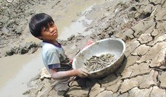 Ảnh: Nguyễn Huệ Nghi