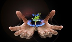 Góc nhìn chuyên gia tuần mới: Cổ phiếu dòng P đã chạm đến các điểm bán