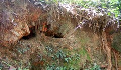 Kho báu ẩn dưới hầm mộ ở Hà Nam?