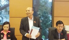 Đại biểu Đỗ Văn Đương (TPHCM) băn khoăn khi chủ trương của Bộ Chính trị về tinh giảm biên chế cứ "hết xây dựng lại báo cáo phê duyệt".