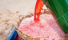 Ảnh ướp ruốc bằng hóa chất đang gây “bão” mạng - Ảnh: Lê My