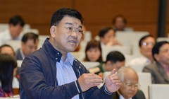 Đại biểu Nguyễn Ngọc Bảo cho rằng áp thuế tự vệ thương mại cần chú ý đến yếu tố thị trường. Ảnh: Quochoi.vn