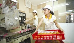 Nguồn ngoại tệ trong nước chủ yếu cho vay ngắn hạn. Vì vậy, doanh nghiệp trong nước muốn vay trung - dài hạn để phục vụ mở rộng sản xuất kinh doanh, thực hiện dự án đầu tư thì buộc phải tìm cách vay ngoại tệ từ nước ngoài. Ảnh: MINH KHUÊ