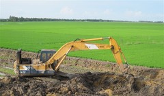 Xây đê bao khép kín sản xuất lúa vụ ba đã khiến không gian trữ nước trong mùa lũ của vùng Đồng Tháp Mười và Tư Giác Long Xuyên bị “tê liệt”. Ảnh: Trung Chánh