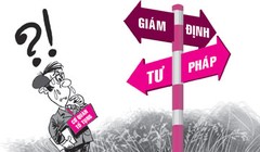 Ảnh minh họa. (Nguồn: Internet)