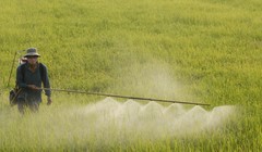 Ảnh minh họa. (Nguồn: Internet)