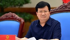 Phó Thủ tướng Chính phủ, Trịnh Đình Dũng.