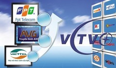 Ảnh minh họa. (Nguồn: Internet)