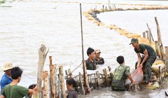 Ảnh minh họa. (Nguồn: Internet)