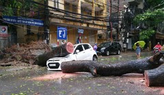 Ảnh minh họa. (Nguồn: Internet)