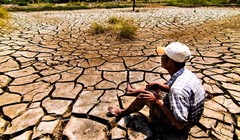 Ảnh minh họa. (Nguồn: Internet)