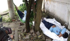 Ảnh minh họa. (Nguồn: Internet)