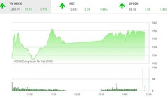 Diễn biến phiên giao dịch cuối năm trên HoSE. (Đồ thị: TVSI)