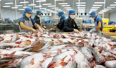 Mỹ đã giảm bớt áp lực lên Việt Nam liên quan thuế chống bán phá giá với sản phẩm cá da trơn Việt Nam. (Ảnh: Internet)