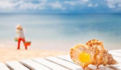 Ảnh mang tính minh họa. (Nguồn: Internet)