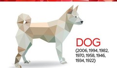 Nhìn lại 1 năm kinh doanh của các doanh nhân tuổi Tuất.