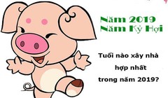 Chuyên gia phong thủy: Những tuổi mua nhà, xây nhà, làm ăn vượng nhất năm Kỷ Hợi 2019