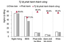 Ngân hàng là lĩnh vực có tỷ lệ phát hành trái phiếu thành công cao nhất. Nguồn: SSI