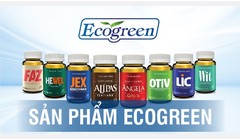 Eco Pharma - nhà phân phối độc quyền sâm Alipas Platinum, sâm Angela Gold: Doanh thu nghìn tỷ, lợi nhuận mỏng tang...