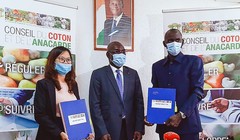 Bà Phạm Thị Phương Mai, đại diện Tập đoàn T&T Group và đại diện Liên minh các nhà xuất khẩu điều Bờ Biển Ngà ký kết hợp đồng thu mua 150.000 tấn điều thô dưới sự chứng kiến của Hội đồng Bông và Điều Bờ Biển Ngà 