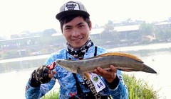 Câu được cá lóc