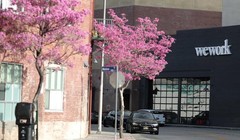 Sau loạt bê bối chấn động, WeWork tuyên bố sẽ có lãi trong năm 2021