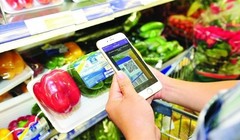 Tháo ‘vòng kim cô’ cho sáng tạo giúp Việt Nam chuyển đổi số