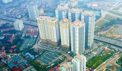 Ảnh minh họa (Nguồn: Internet)