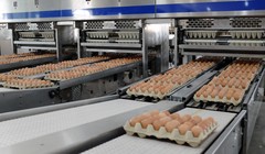 Dây chuyền đóng gói trứng gà tự động của Hòa Phát (Nguồn: HPG)