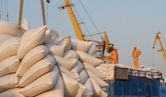 Ngành gạo sẽ hưởng lợi tích cực từ EVFTA