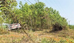 Làm sao cắt cơn sốt đất?